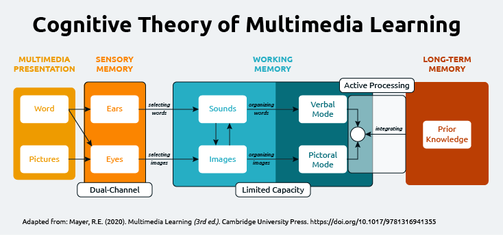 Diagram of cognitive theory of multimedia learning described in article